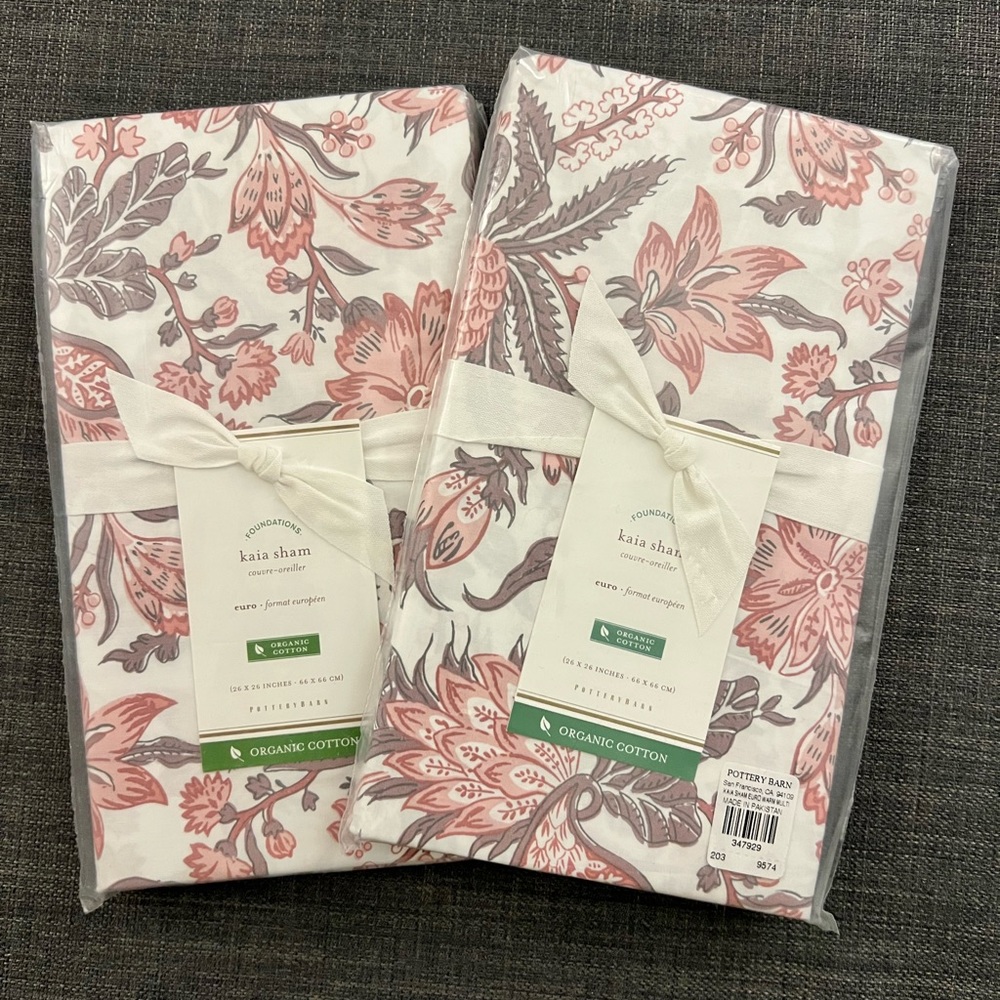 Pottery Barn Kaia Organic Cotton Euro Shams - 2